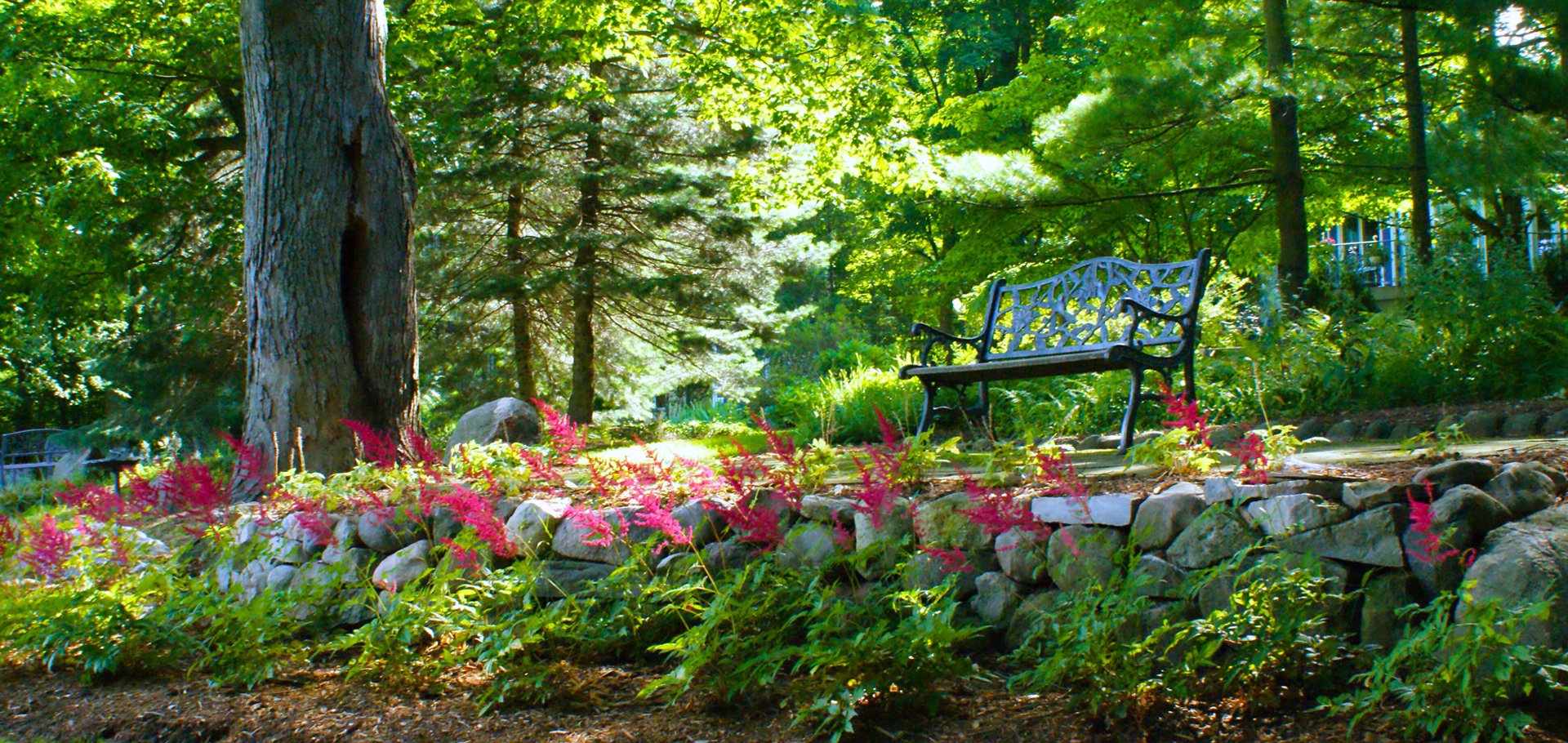 Landscaped garden with stone patio, bench, and mature plantings